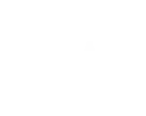 The News Minute